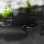 Çevre Bilimlerinde İleri Teknolojilerin Kullanımı