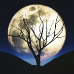 Dolunayın Burçlar Üzerindeki Etkileri